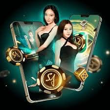 23 bet app